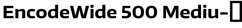 EncodeWide 500 Mediu字体转换